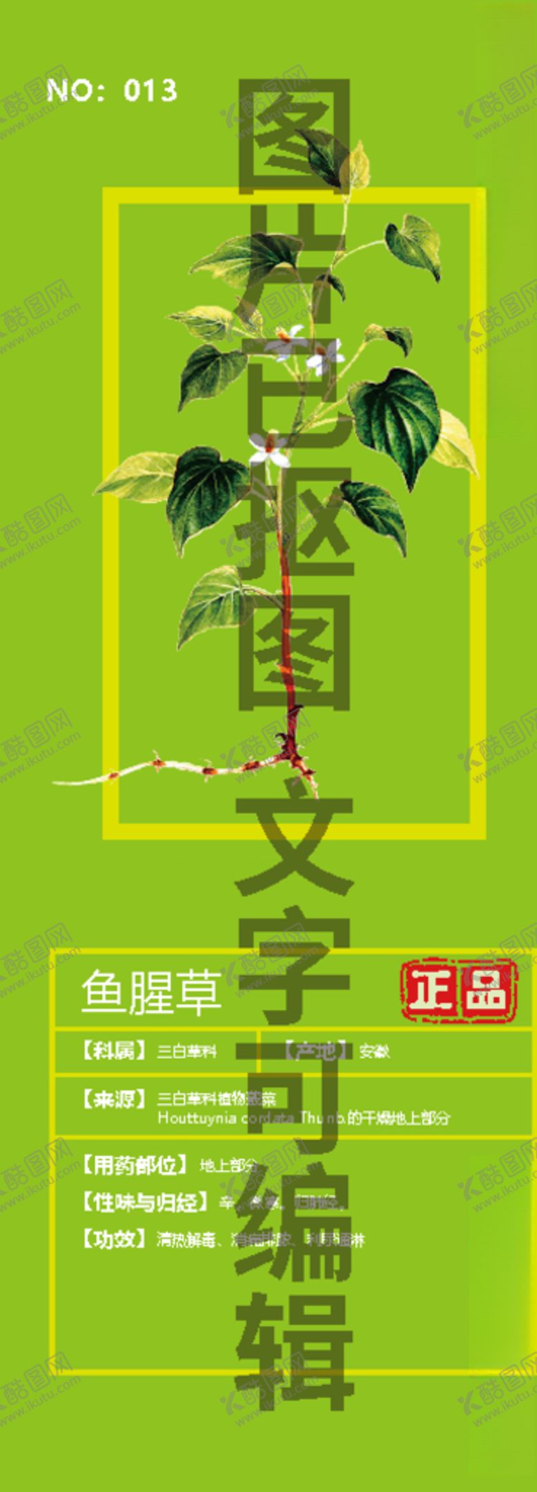 编号：52243903312122094611【酷图网】源文件下载-鱼腥草