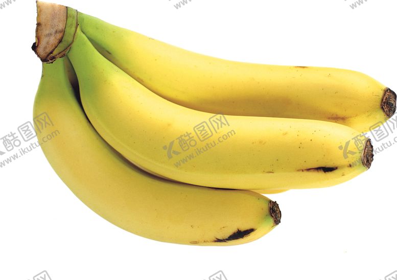编号：12769809260616185141【酷图网】源文件下载-香蕉