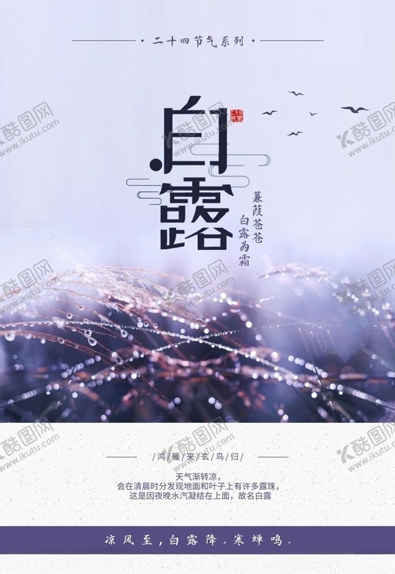 编号：31321205080744541023【酷图网】源文件下载-白露