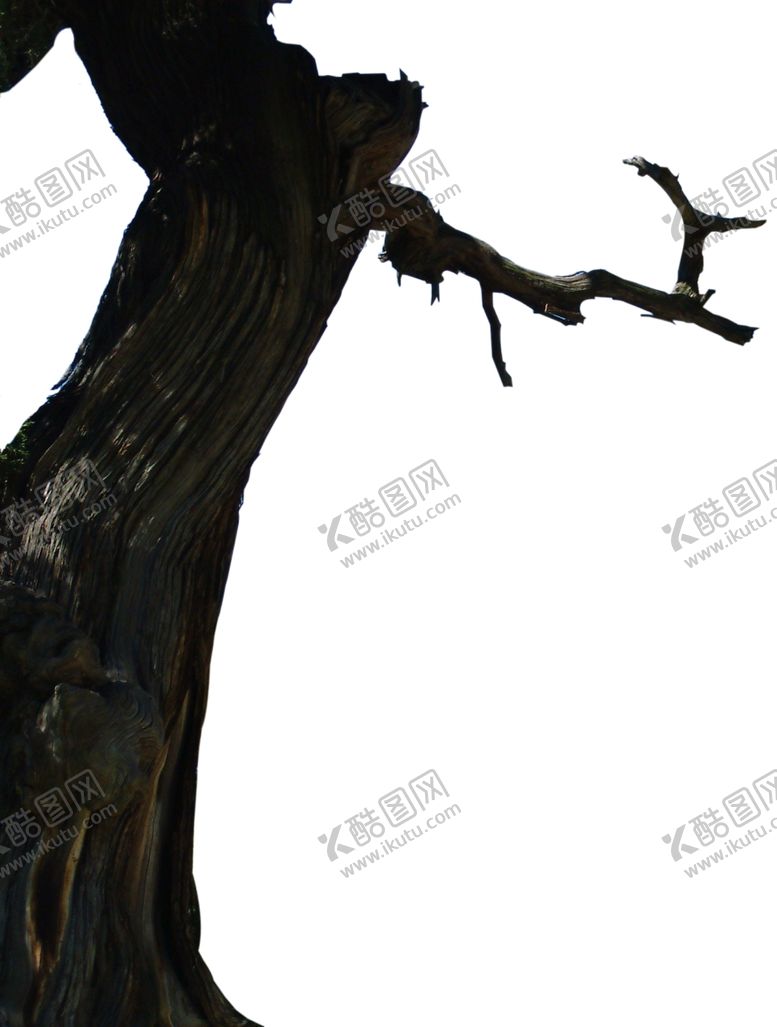 编号：30261207061456214484【酷图网】源文件下载-树桩前景