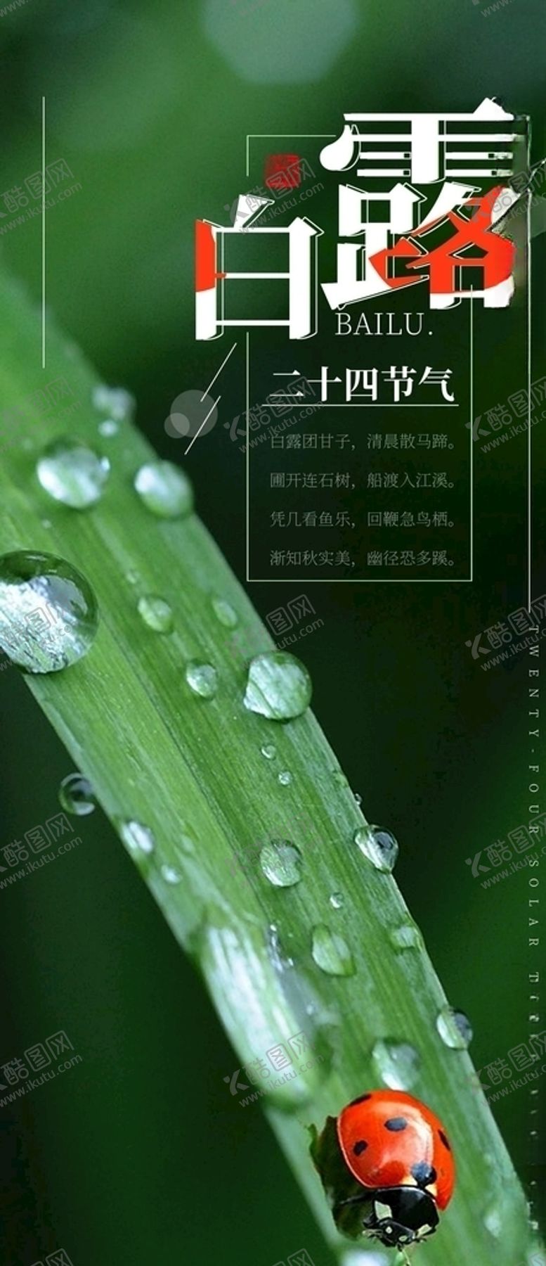 编号：45342705032351077341【酷图网】源文件下载-白露