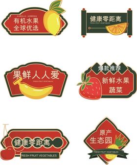 清新柑橘果汁与鲜果组合