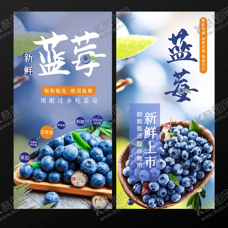 编号：64932411210359443645【酷图网】源文件下载-蓝莓 