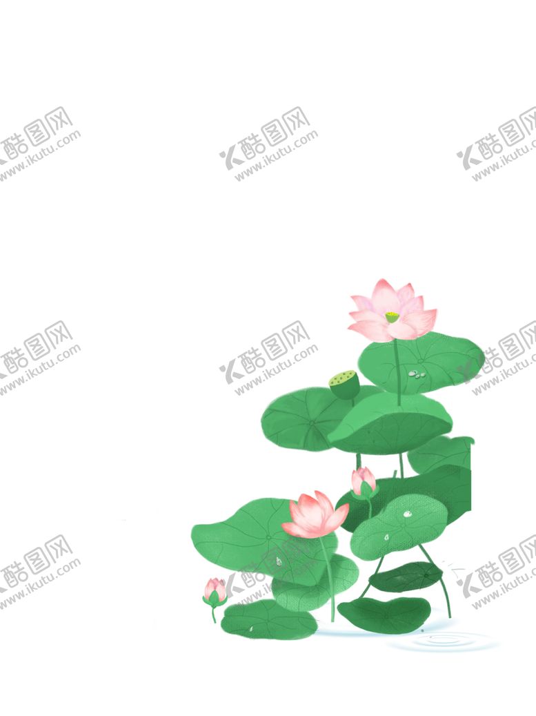编号：22313005050249447028【酷图网】源文件下载-荷花荷叶