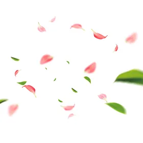 手绘植物花卉