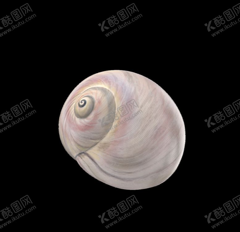 编号：51821810061437495294【酷图网】源文件下载-海洋生物