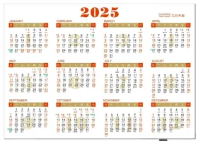 2025年历