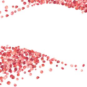 花瓣