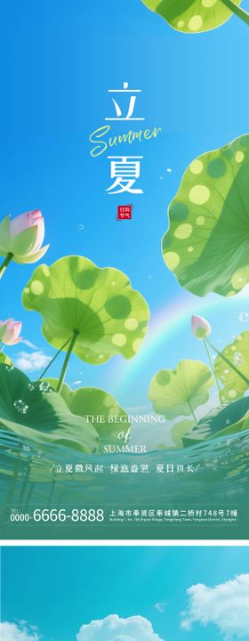 立夏实景感荷花近景天空手机系列海报