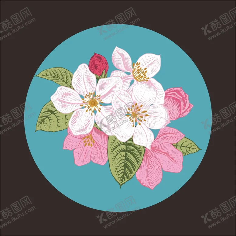 编号：67862201140325243700【酷图网】源文件下载-花朵插画