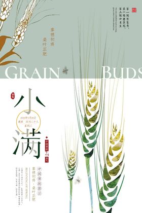 小满图片