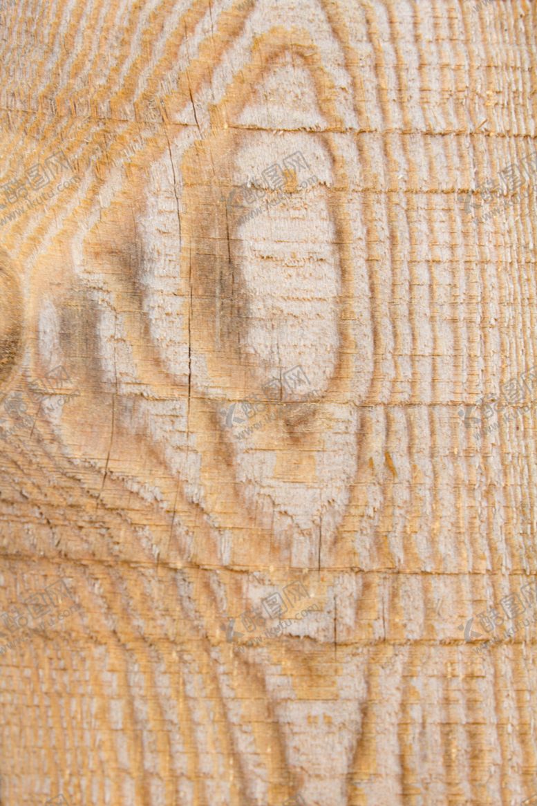 编号：49083010111456424728【酷图网】源文件下载-树皮