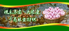 155x70鸡蛋