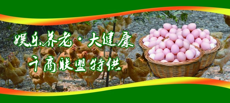 编号：44113005160113538134【酷图网】源文件下载-155x70鸡蛋