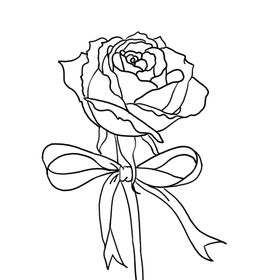玫瑰花