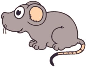 耗子