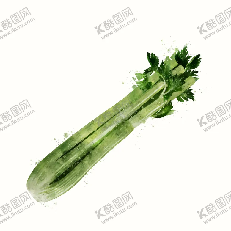 编号：82754909150945192589【酷图网】源文件下载-芹菜蔬菜挂画蔬菜广告