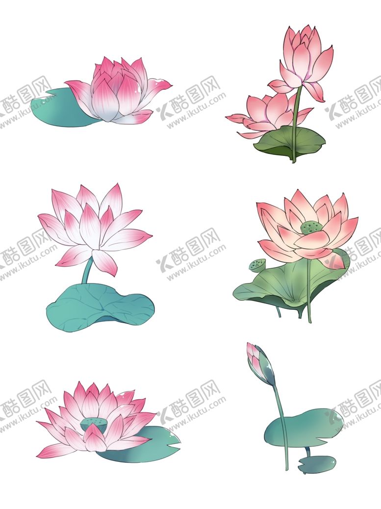 编号：22933106290701149472【酷图网】源文件下载-夏日荷花红色手绘荷花免抠