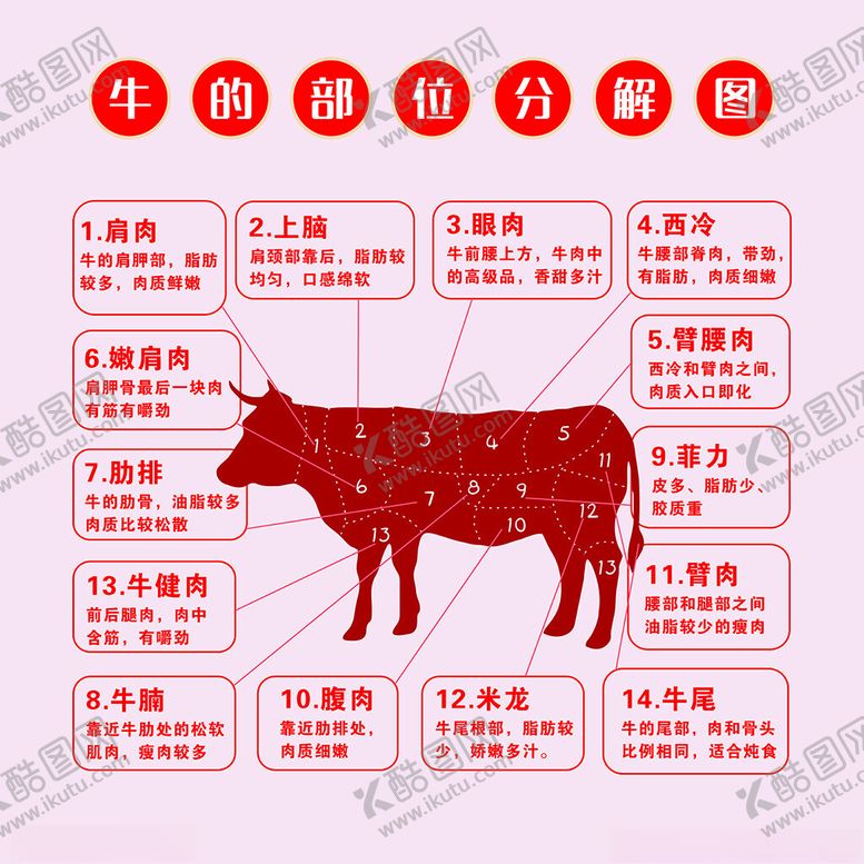 编号：88108101271718266022【酷图网】源文件下载-牛的部位分解图