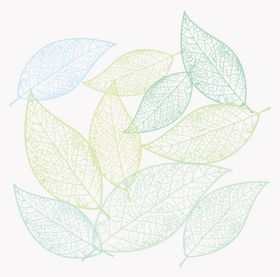 树叶底纹