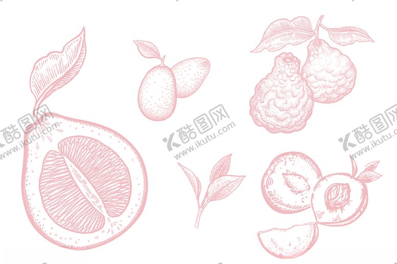 编号：43964909300914545244【酷图网】源文件下载-水果线稿图片