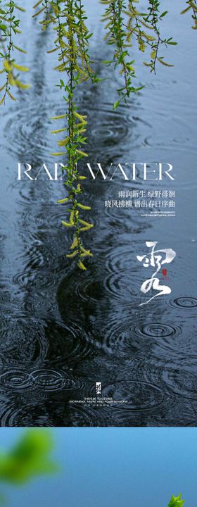 雨水节气系列海报