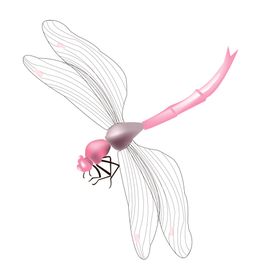 蜻蜓