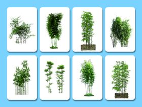 多样绿植展示图