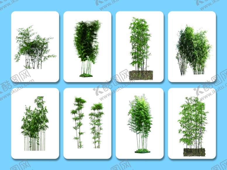 编号：40761811012235202048【酷图网】源文件下载-多样绿植展示图