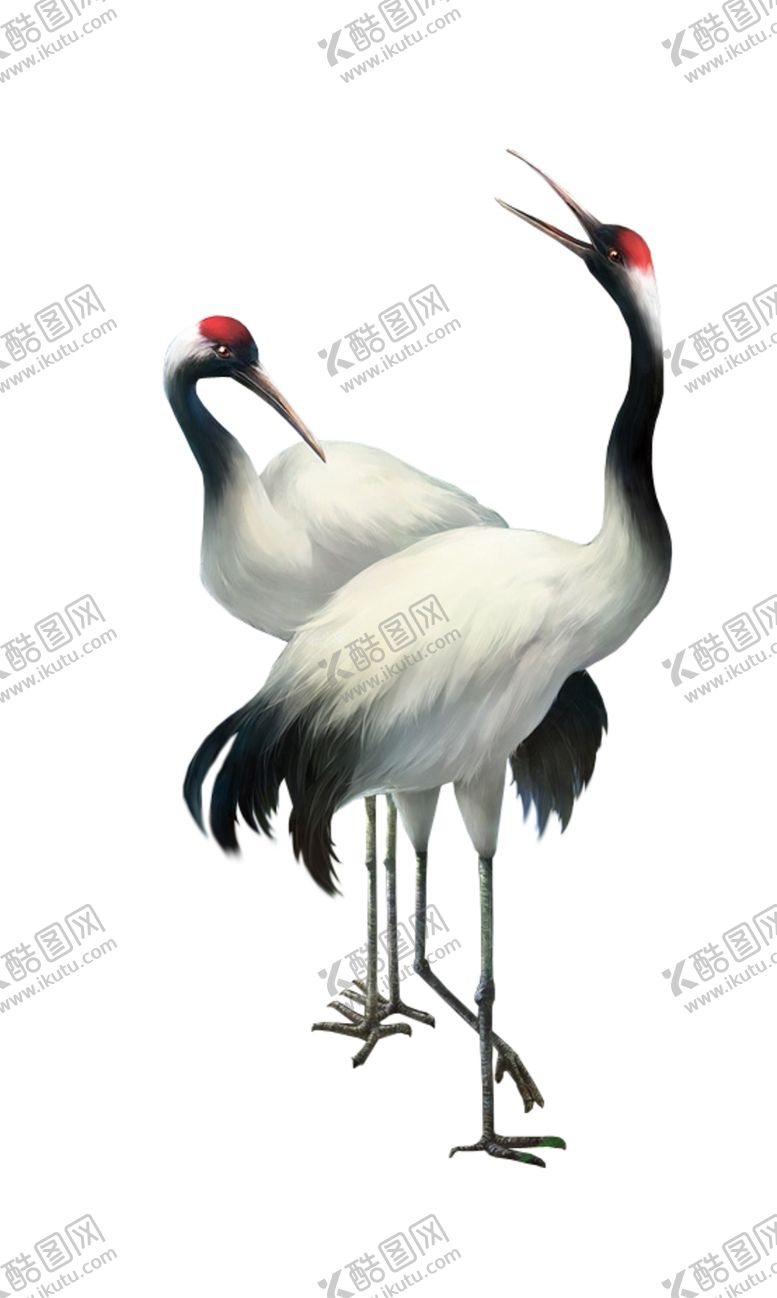 编号：47825107072354278349【酷图网】源文件下载-仙鹤
