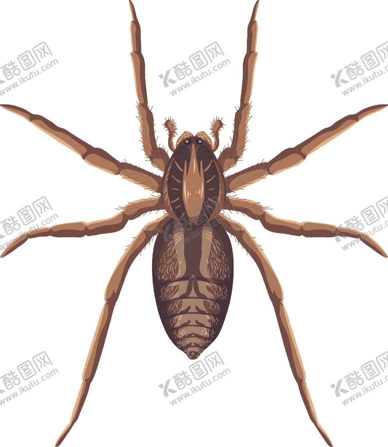 编号：49496809281107081463【酷图网】源文件下载-卡通昆虫