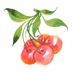 水彩创意插画水果