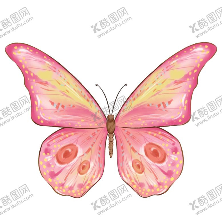 编号：96032501260246236509【酷图网】源文件下载-手绘粉色昆虫花蝴蝶