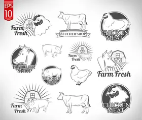 家禽解剖分割结构图矢量牛肉