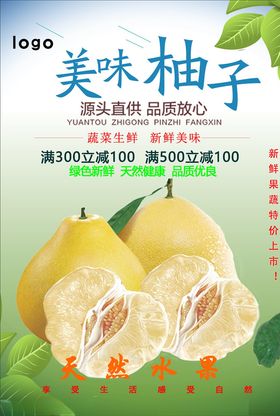 柚子海报