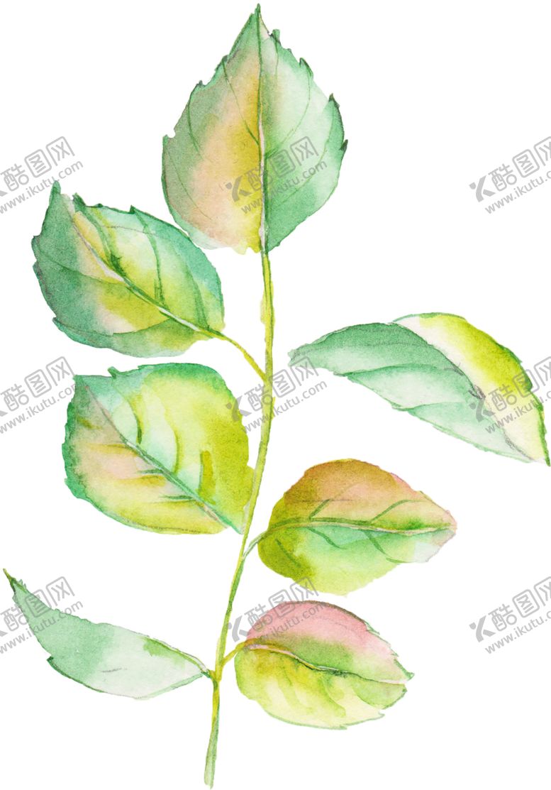 编号：60496110131452031680【酷图网】源文件下载-绿色装饰