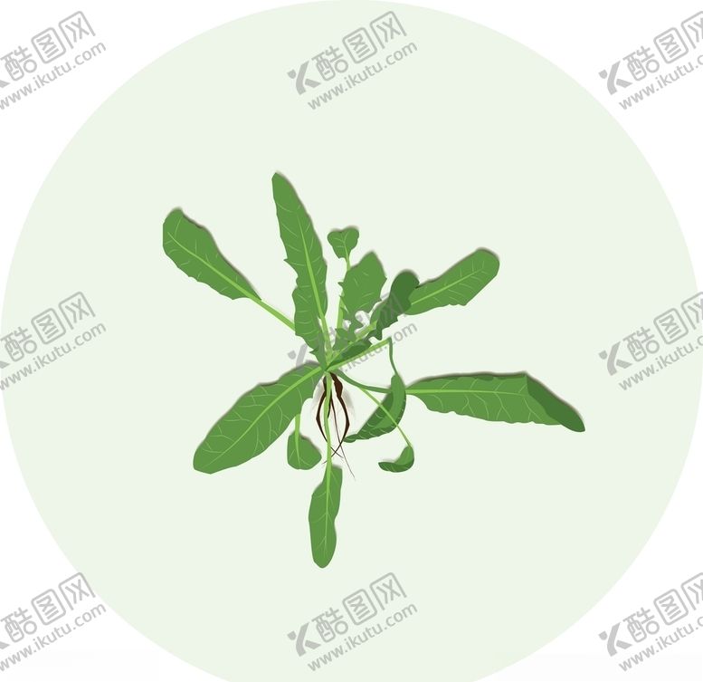 编号：26232210211824037236【酷图网】源文件下载-荠菜