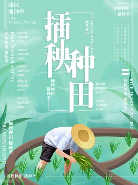 芒种芒种海报二十四节气