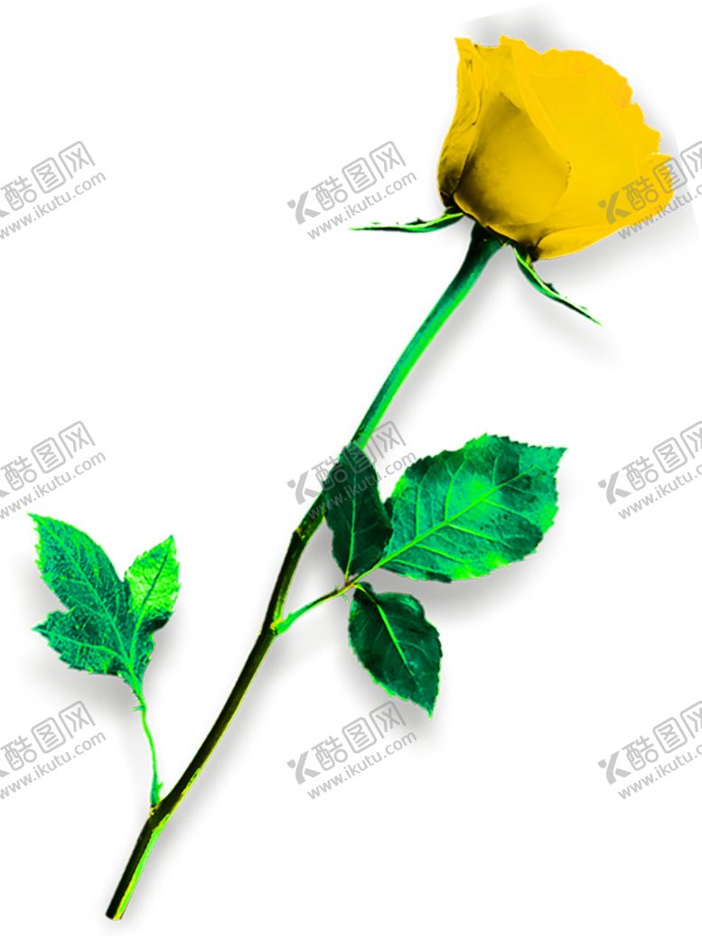 编号：52337309270227571160【酷图网】源文件下载-花素材