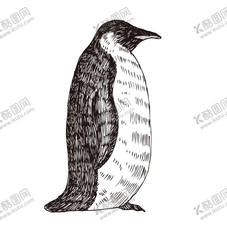 编号：61216505081349507473【酷图网】源文件下载-手绘动物