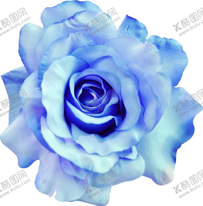 编号：22967006290116267462【酷图网】源文件下载-玫瑰花朵装饰