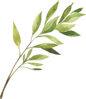 植物壁纸装饰画树叶免扣