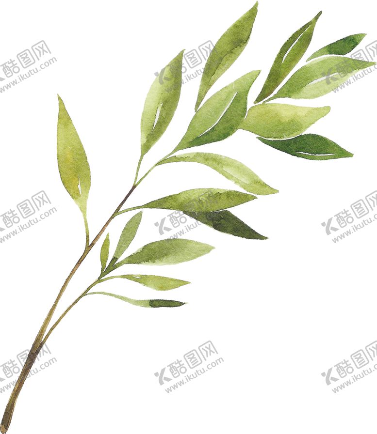 编号：30242007051540004983【酷图网】源文件下载-植物