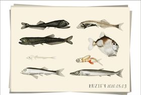 8款入深海鱼海洋生物图鉴