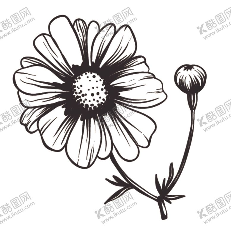 编号：27200709240632433921【酷图网】源文件下载-素描绘画植物花朵