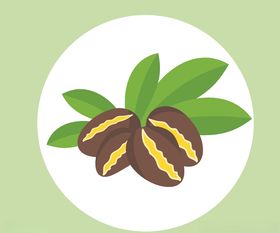 手绘植物