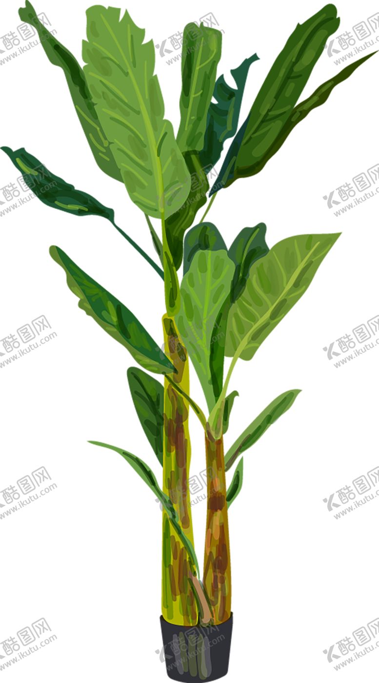 编号：50709910061441363498【酷图网】源文件下载-绿色相框