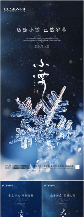 小雪海报大二十四节气花