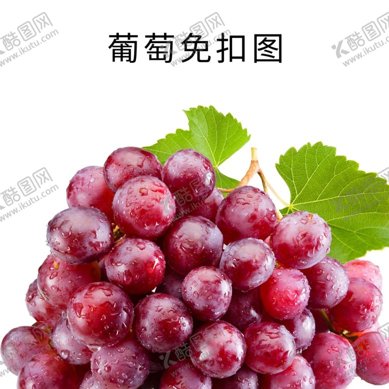 编号：94978010191226014415【酷图网】源文件下载-葡萄免扣素材