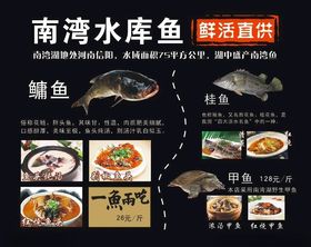 鱼灯箱画面